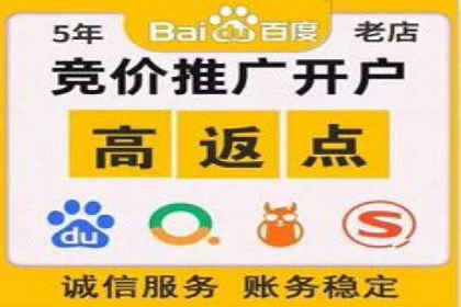 案例分析：百度竞价托管助力行业龙头